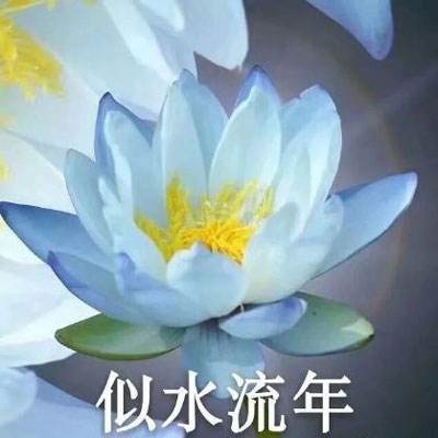 樂竟炸金花游戲