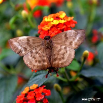 消長的資金流動——2024年下半年投資展望