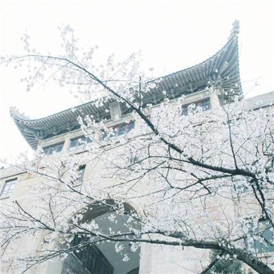 華體匯三公大全網