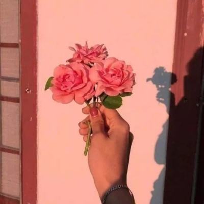 ag版app下載