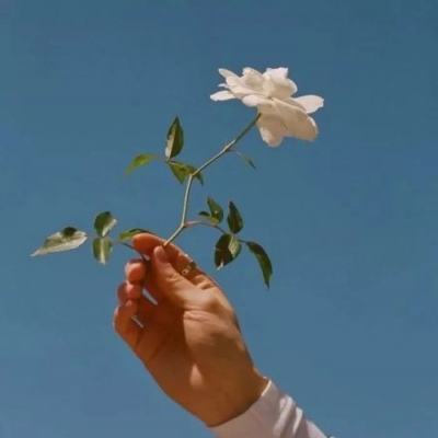 星空官方軟件下載