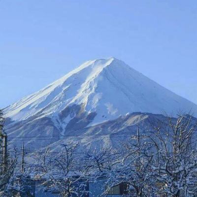 新華社評論員：以經濟體制改革為牽引推動高質量發展