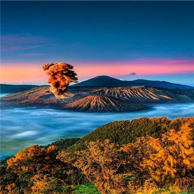 米樂app軟件