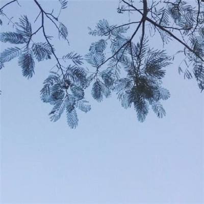 四層負載均衡分析：GitHub GLB