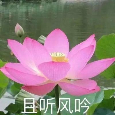 華體會登陸網址下載