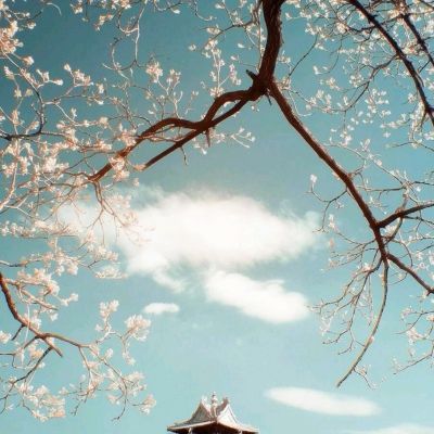 手機閱讀《米蘭體育微信端》