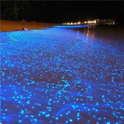 星空安卓能下載